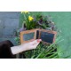 Tiny Wallet Tan Embossed